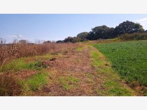 Terreno en venta en Lázaro Cárdenas (San Rafael), Polotitlán — foto 3 de 7