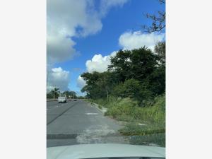 Terreno en venta en Paso del Toro, Medellín de Bravo — foto 2 de 4
