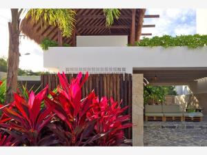 Departamento en venta en La Veleta, Tulum — foto 2 de 21