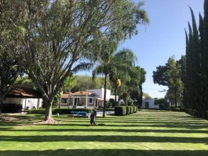 Terreno en venta en Emiliano Zapata Nexatengo, Atlixco — foto 3 de 12