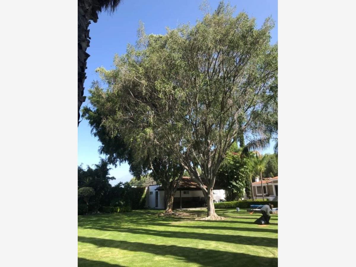 Terreno en venta en Emiliano Zapata Nexatengo, Atlixco — foto 1 de 12