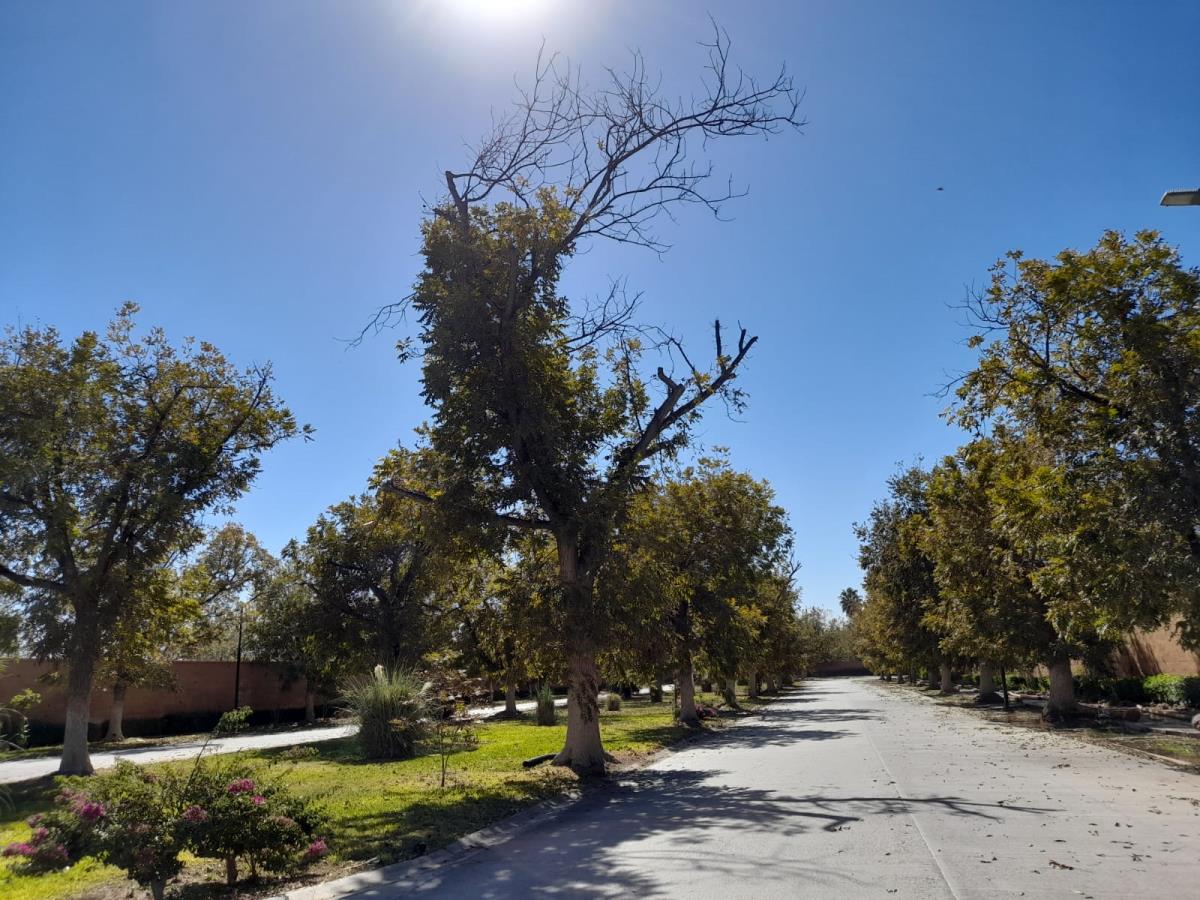 Terreno en Venta en La Barranca, Torreón, Coahuila de Zaragoza
