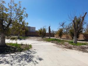 Terreno en venta en La Barranca, Torreón — foto 3 de 7