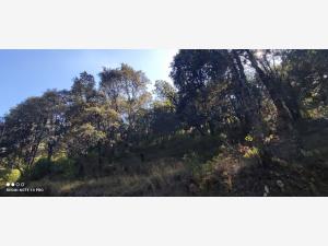 Terreno en venta en Chitejé de la Cruz, Amealco de Bonfil — foto 2 de 13