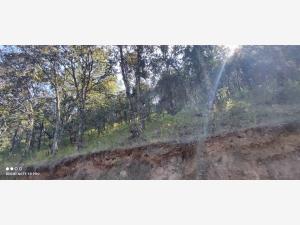 Terreno en venta en Chitejé de la Cruz, Amealco de Bonfil — foto 3 de 13