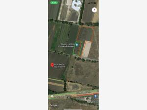 Terreno en venta en Los Angeles, Corregidora — foto 2 de 2