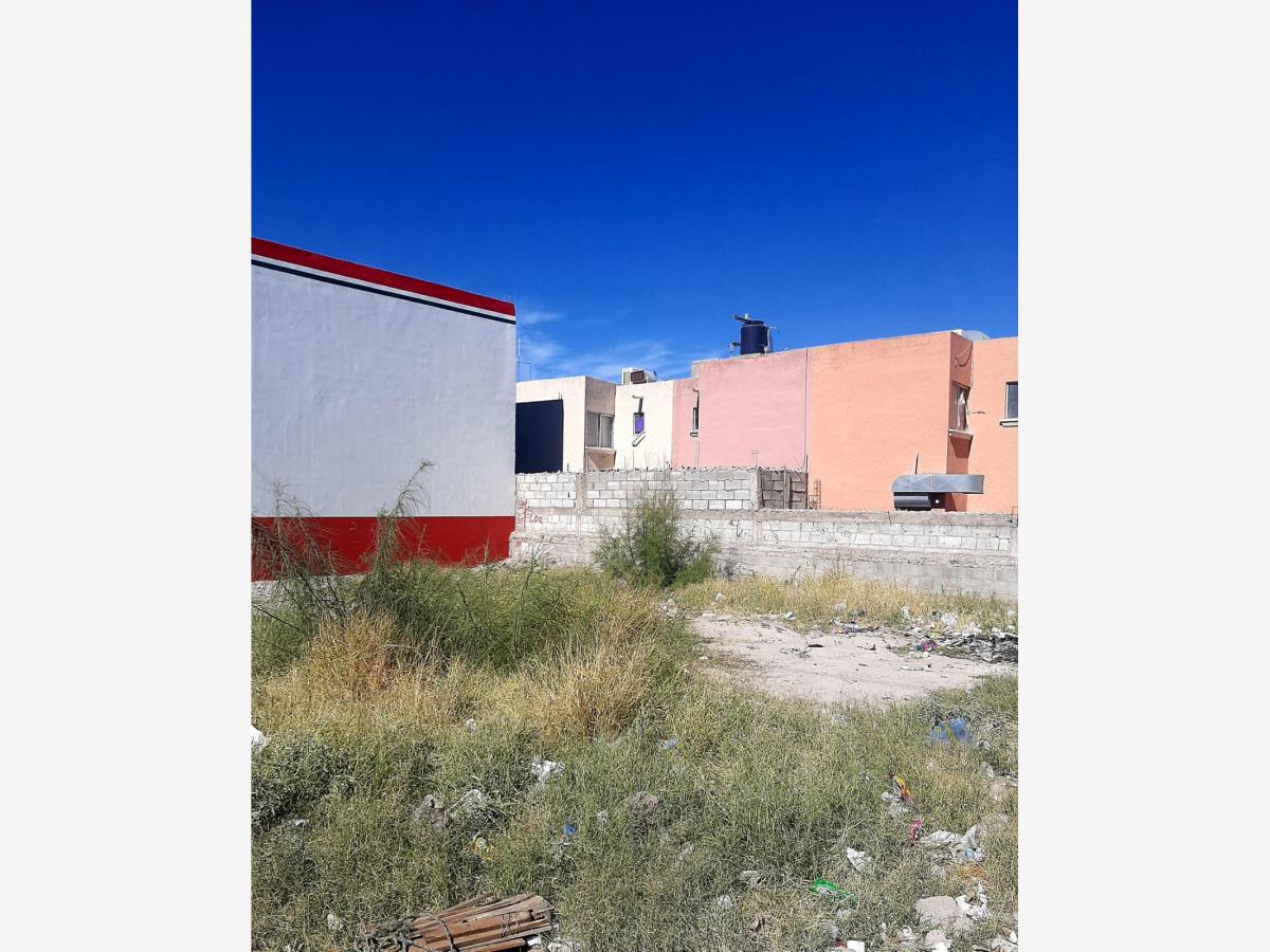 Terreno en Renta en La Dalia Oriente, Torreón, Coahuila de Zaragoza