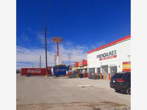 Terreno en renta en La Dalia Oriente, Torreón — foto 3 de 5