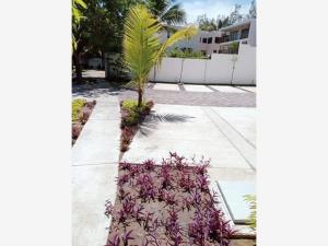 Departamento en venta en Rincón del Conchal, Alvarado — foto 3 de 13