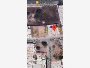 Terreno en venta en Tres Ríos, Culiacán — foto 3 de 3