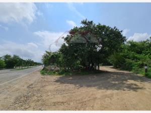 Terreno en venta en Punta de Mita, Bahía de Banderas — foto 3 de 14