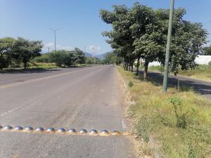 Terreno en venta en Buenavista, Villa de Álvarez — foto 2 de 2