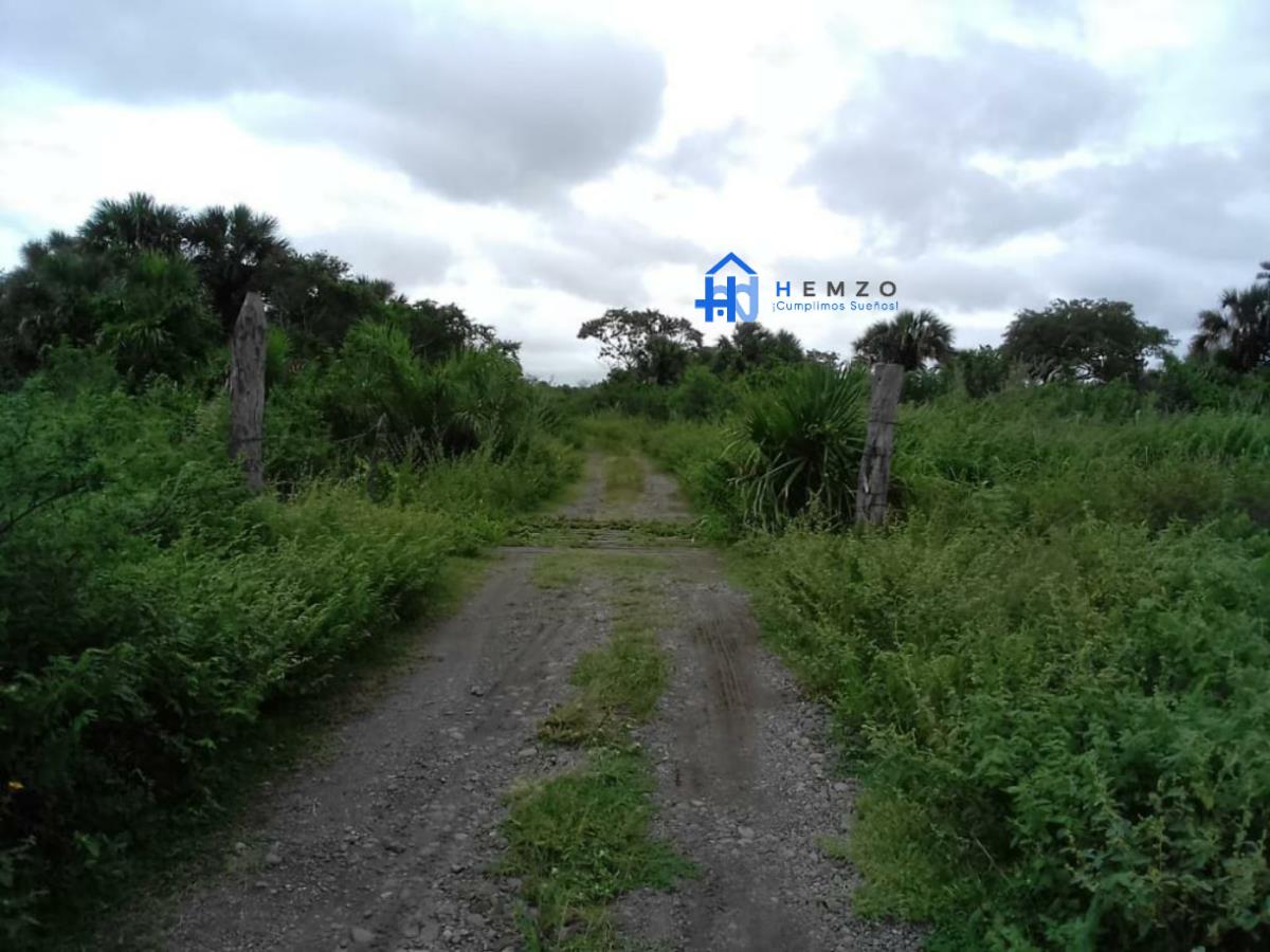 Finca-Rancho en venta en Tlalixcoyan, Tlalixcoyan — foto 1 de 5