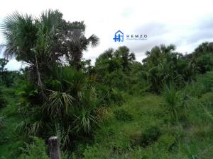 Finca-Rancho en venta en Tlalixcoyan, Tlalixcoyan — foto 2 de 5