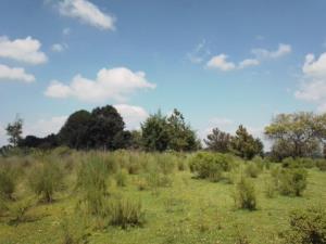 Terreno en venta en Los Barbechos, Villa del Carbón — foto 3 de 15