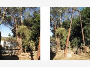 Terreno en venta en Tlaltenango, Cuernavaca — foto 3 de 6