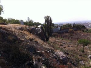 Terreno en venta en El Refugio Campestre, León — foto 3 de 9
