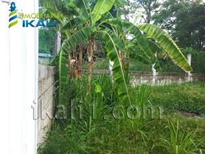 Terreno en venta en Manantial, Tihuatlán — foto 2 de 10