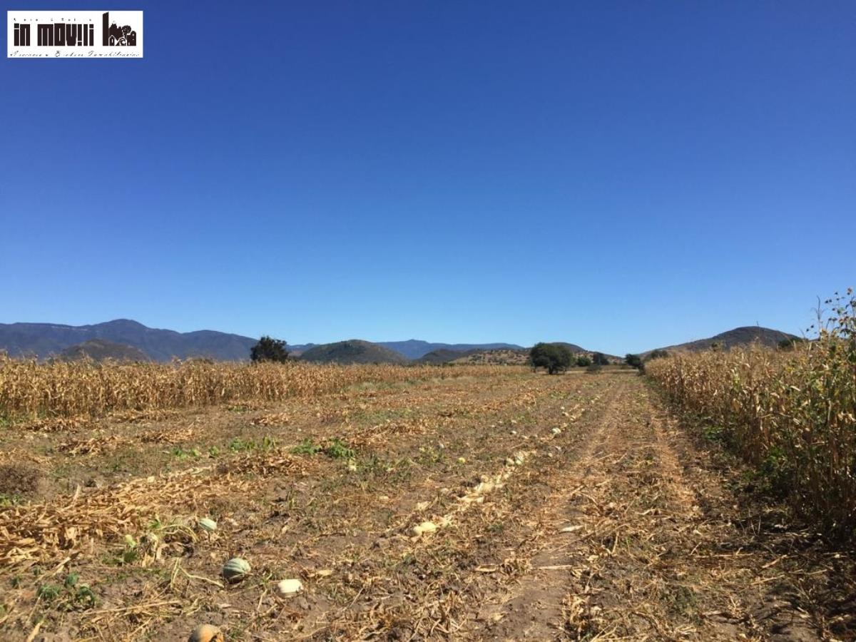 Terreno en venta en San Jeronimo Tlacochahuaya, San Jerónimo Tlacochahuaya — foto 1 de 8