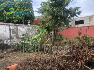 Terreno en renta en Adolfo Ruiz Cortines, Tuxpan — foto 3 de 14