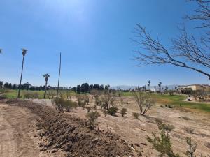 Terreno en venta en Montebello, Torreón, Coahuila de Zaragoza