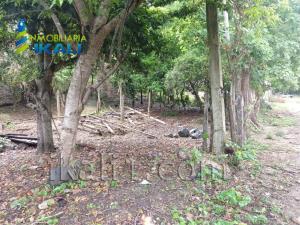 Terreno en venta en Los Mangos, Tuxpan — foto 3 de 12
