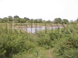 Terreno en venta en 23 de Noviembre, Tuxpan — foto 2 de 29
