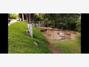 Terreno en venta en Tres Pasos, Emiliano Zapata — foto 2 de 3