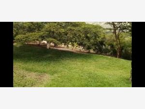 Terreno en venta en Tres Pasos, Emiliano Zapata — foto 3 de 3