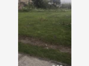 Terreno en renta en Llano Grande (El Salitre), Metepec — foto 2 de 2