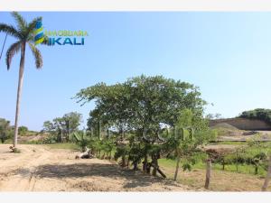 Terreno en venta en Villa Rosita, Tuxpan — foto 3 de 5