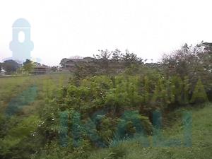 Terreno en venta en 23 de Noviembre, Tuxpan — foto 3 de 7