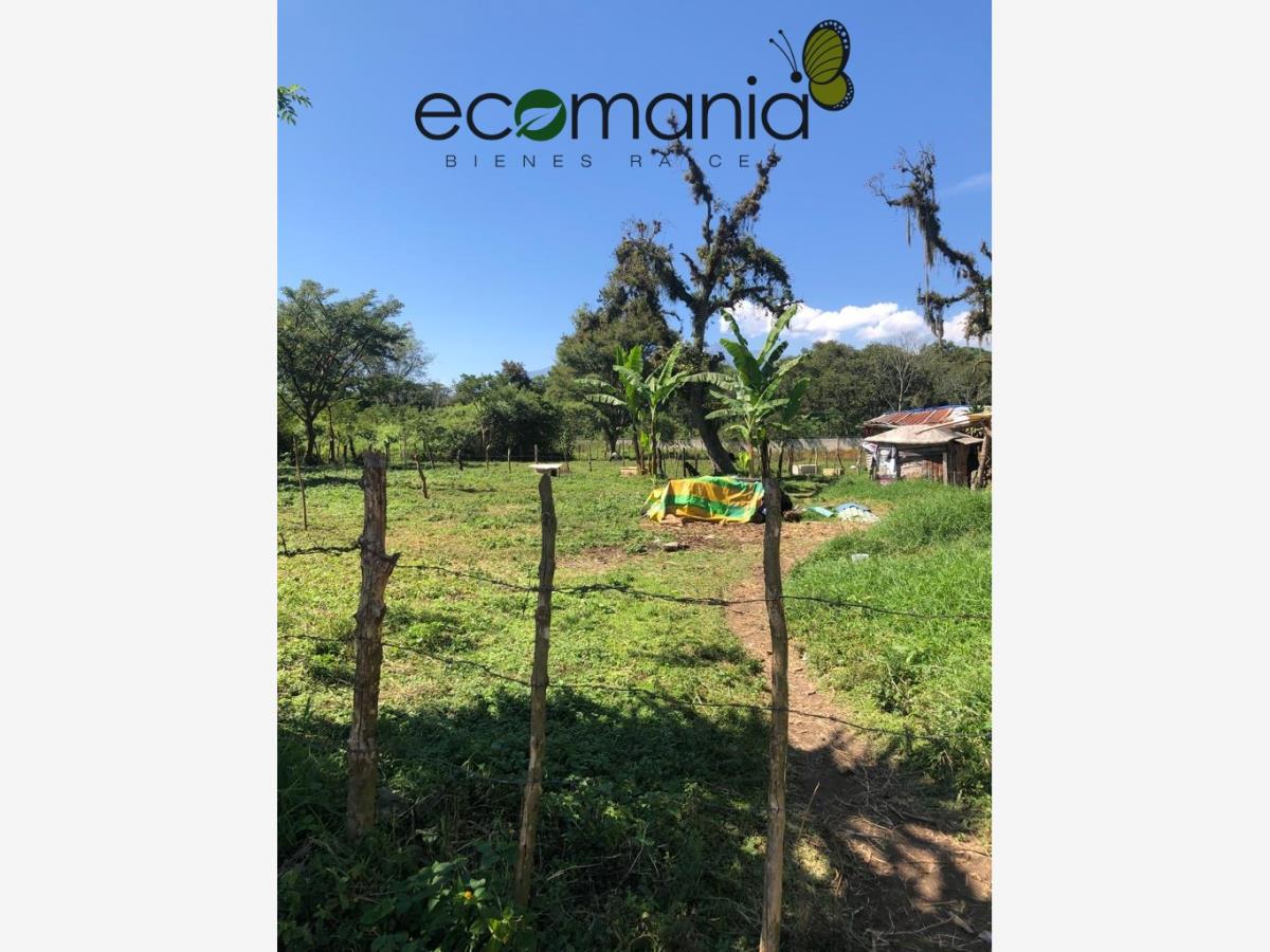 Terreno en venta en Briones, Coatepec — foto 1 de 8
