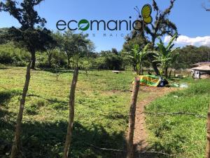 Terreno en venta en Briones, Coatepec — foto 3 de 8
