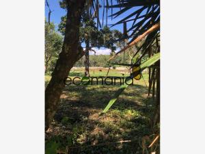 Terreno en venta en Briones, Coatepec — foto 2 de 8