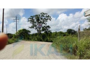 Terreno en venta en La Victoria, Tuxpan — foto 3 de 9