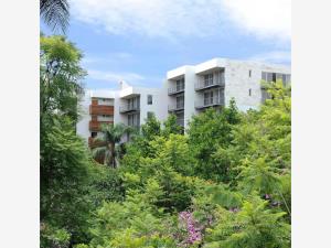 Departamento en renta en Cuernavaca Centro, Cuernavaca — foto 2 de 10