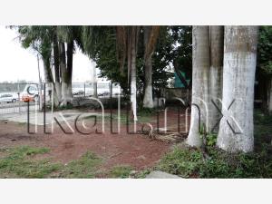 Terreno en venta en Túxpam de Rodríguez Cano Centro, Tuxpan — foto 2 de 7