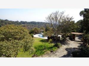 Casa en venta en Del Bosque, Cuernavaca — foto 2 de 47