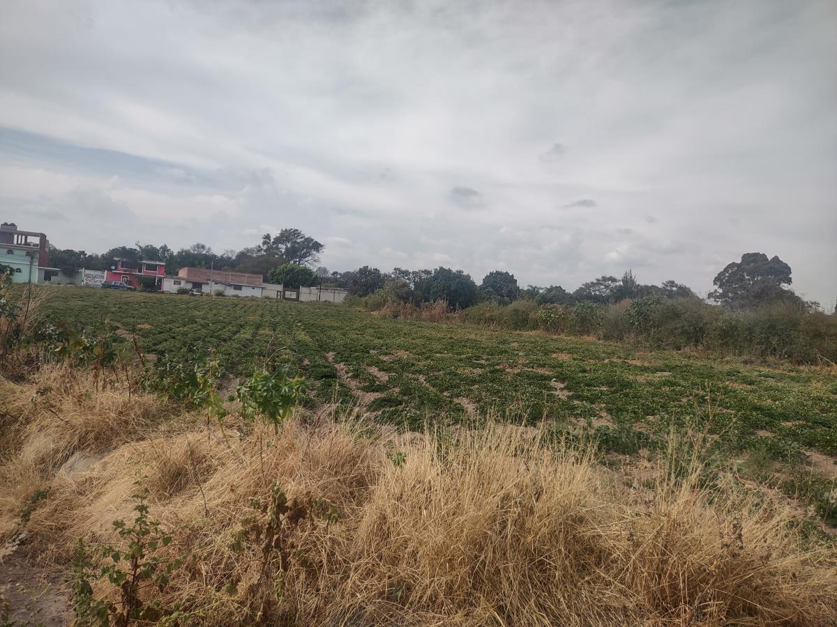 Terreno en venta en San Diego Acapulco, Atlixco — foto 1 de 14