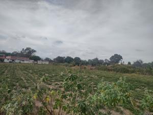 Terreno en venta en San Diego Acapulco, Atlixco — foto 2 de 14