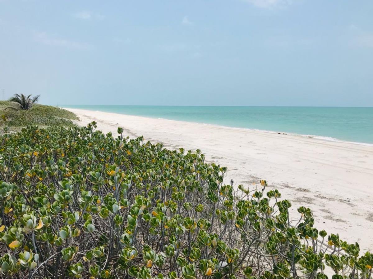 Terreno en venta en Isla Aguada Centro, Carmen — foto 1 de 47