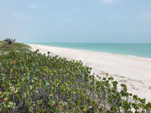 TERRENO FRENTE AL MAR – 2,500 m² – PLAYA MUNDO MAYA, CAMPECHE