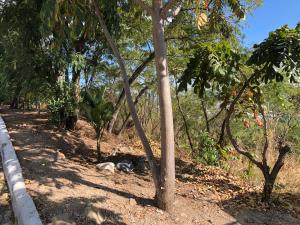 Terreno en venta en Club de Golf Campestre, Tuxtla Gutiérrez — foto 3 de 6
