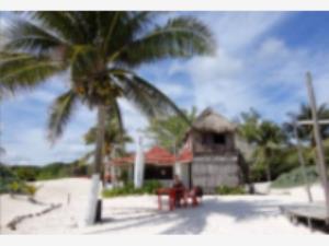 Finca-Rancho en venta en Aldea Tulum, Tulum — foto 3 de 15
