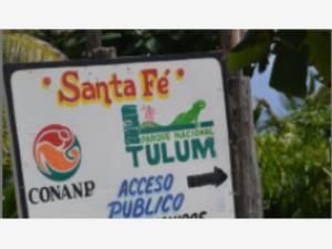 Finca-Rancho en venta en Aldea Tulum, Tulum — foto 2 de 15