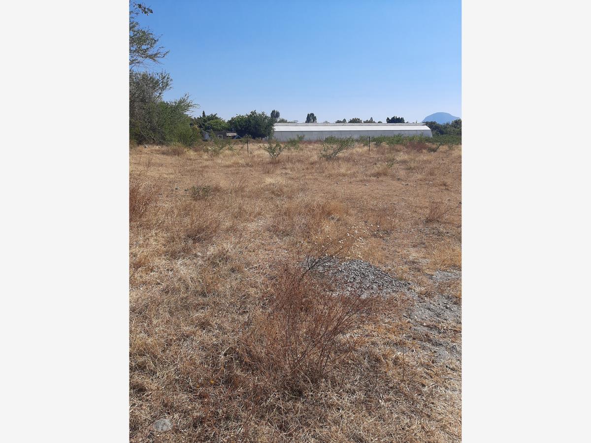 Terreno en venta en Temoac, Temoac — foto 1 de 8