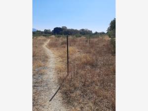 Terreno en venta en Temoac, Temoac — foto 2 de 8