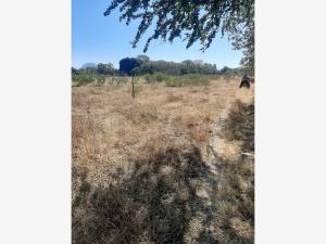 Terreno en venta en Temoac, Temoac — foto 3 de 8