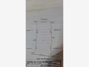 Terreno en venta en El Olivo, Matamoros — foto 2 de 8